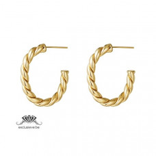 Oorbellen hoops rope gold